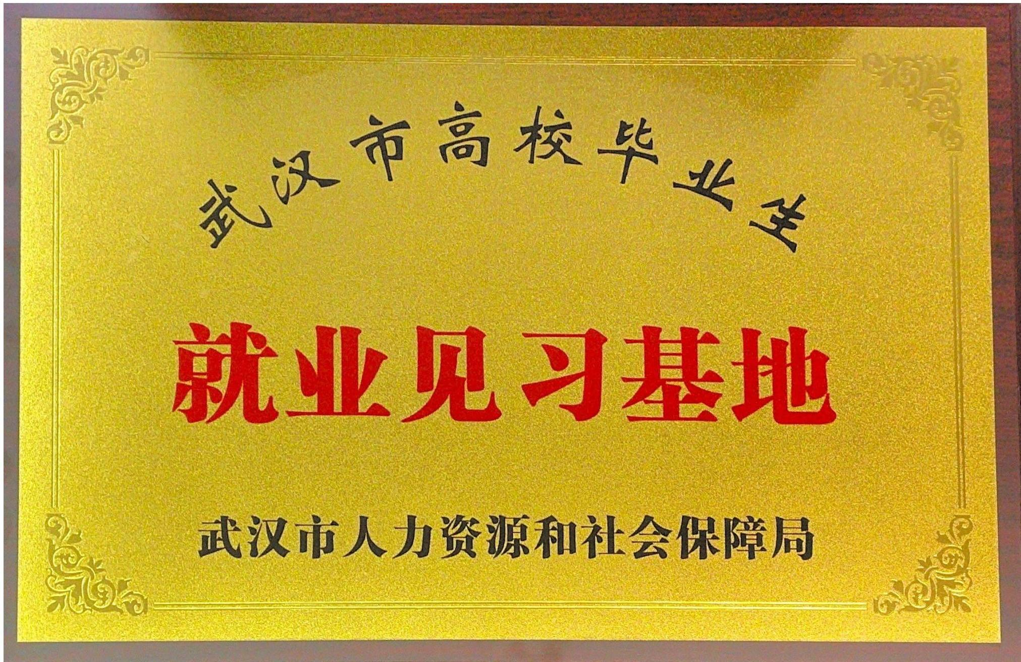 武汉市高校毕业生就业见习基地.png 武汉市高校毕业生就业见习基地.png